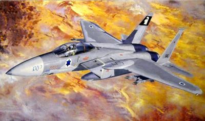 F-15 C Eagle IDF Hasegawa