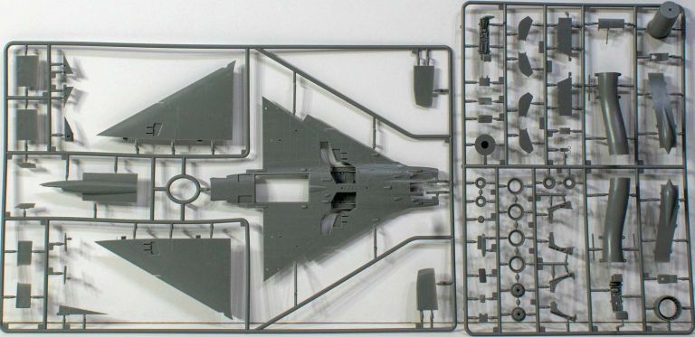 IAI "Nesher" (single/twin seat)