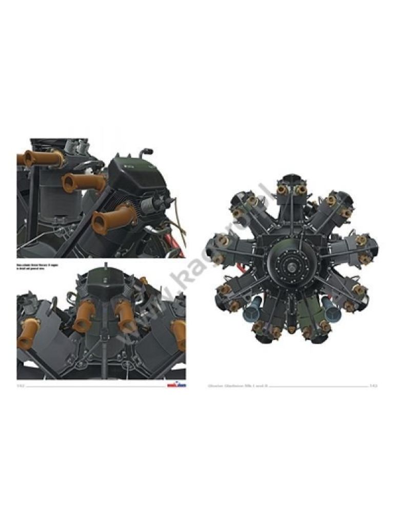 GLADIATOR MK. I & II Monographs - 3D Editions