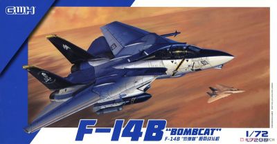 F-14B "Bombcat" Great Wall Hobby
