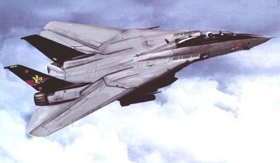 F-14B Tomcat Trumpeter