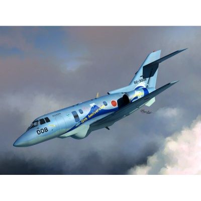 Raytheon U-125A JASDF anniversary versions Sword