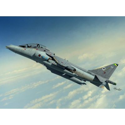 Harrier T10/12 SWORD