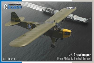 L-4 Grasshopper From Africa to Central Europe 1:48 Special Hobby