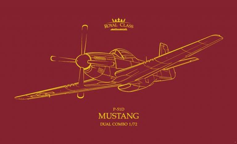 P-51D MUSTANG DUAL COMBO 1/72