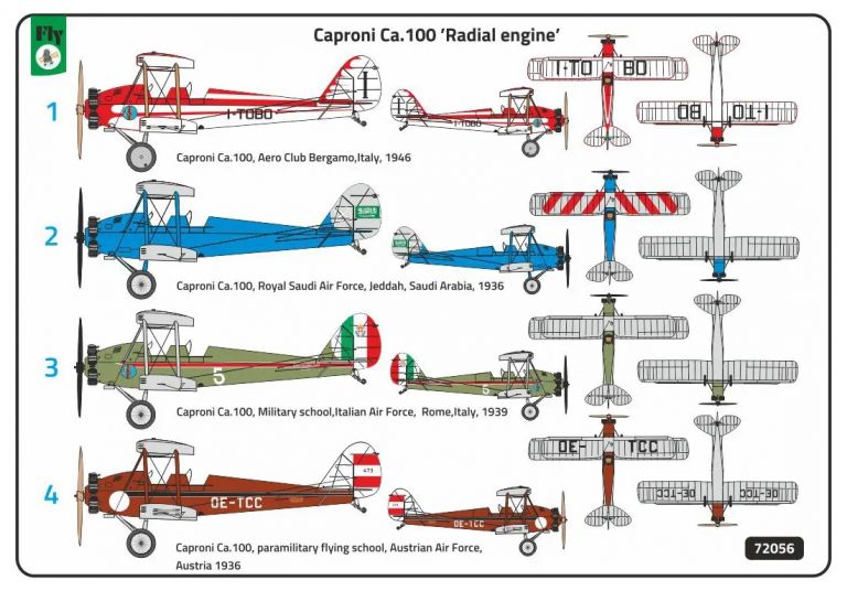Caproni Ca.100 Radial engine