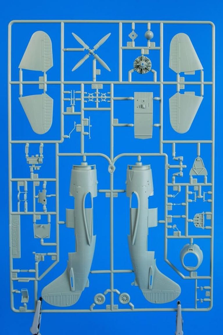 SB2C-5 Helldiver "The Final Version"