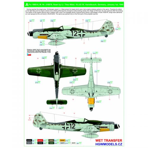 Focke-Wulf FW190D-9 "BODENPLATTE" HGW MODELS