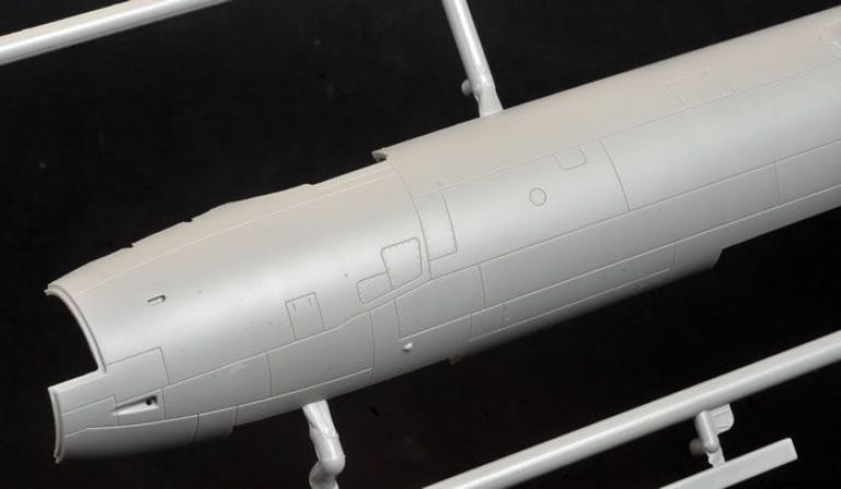 IL-28T "BEAGLE"