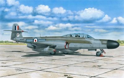 A.W. Meteor NF Mk.12 SPECIAL HOBBY