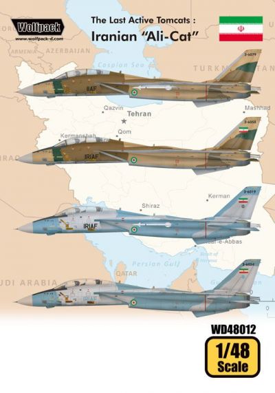 The Last Active Tomcats - Iranian "Alicat" (F-14A Tomcat) WOLFPACK