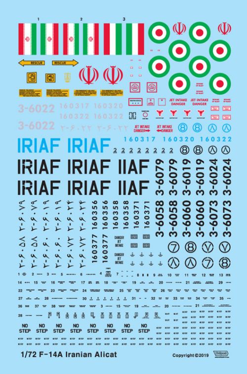The Last Active Tomcats - Iranian "Alicat" (F-14A Tomcat) WOLFPACK