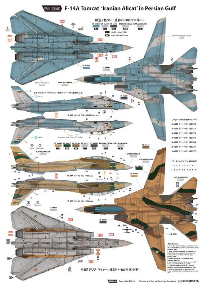 The Last Active Tomcats - Iranian "Alicat" (F-14A Tomcat)