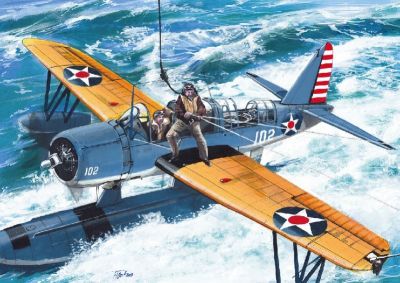 Kingfisher US Navy AZ Model