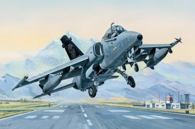AMX Ground Attack Aircraft Hobby Boss