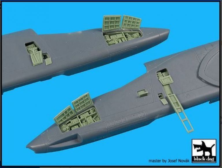 Su-25 Frogfoot electronics Black Dog